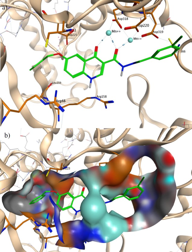 a Binding mode of compound 21 in the active site of HCV NS5B polymerase(PDB code: 1GX6). b Interaction of compound 21  with the surface of NS5B active site