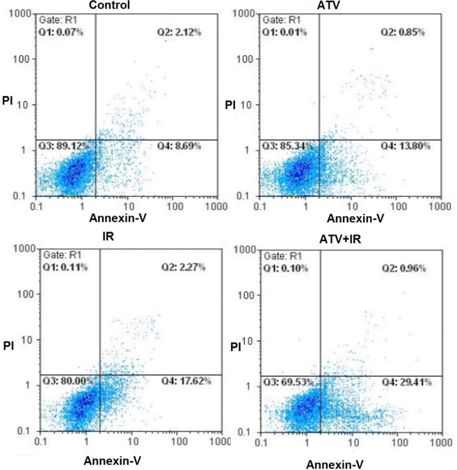 Effect of atorvastatin (ATV; 10 µM) on X-ray-induced apoptosis in MDA-MB-231 cells. Cells were analyzed for Annexin V binding and for PI uptake using flow cytometry. Representative dot plots of one set of five independent experiments of Annexin V and PI staining are shown. In each figure, the lower left quadrant (Annexin V− and PI−) was considered as live cells, the lower right quadrant (Annexin V+ and PI−) was considered as early apoptotic cells, the upper right quadrant (Annexin V+ and PI+) was considered as late apoptotic and necrotic cells