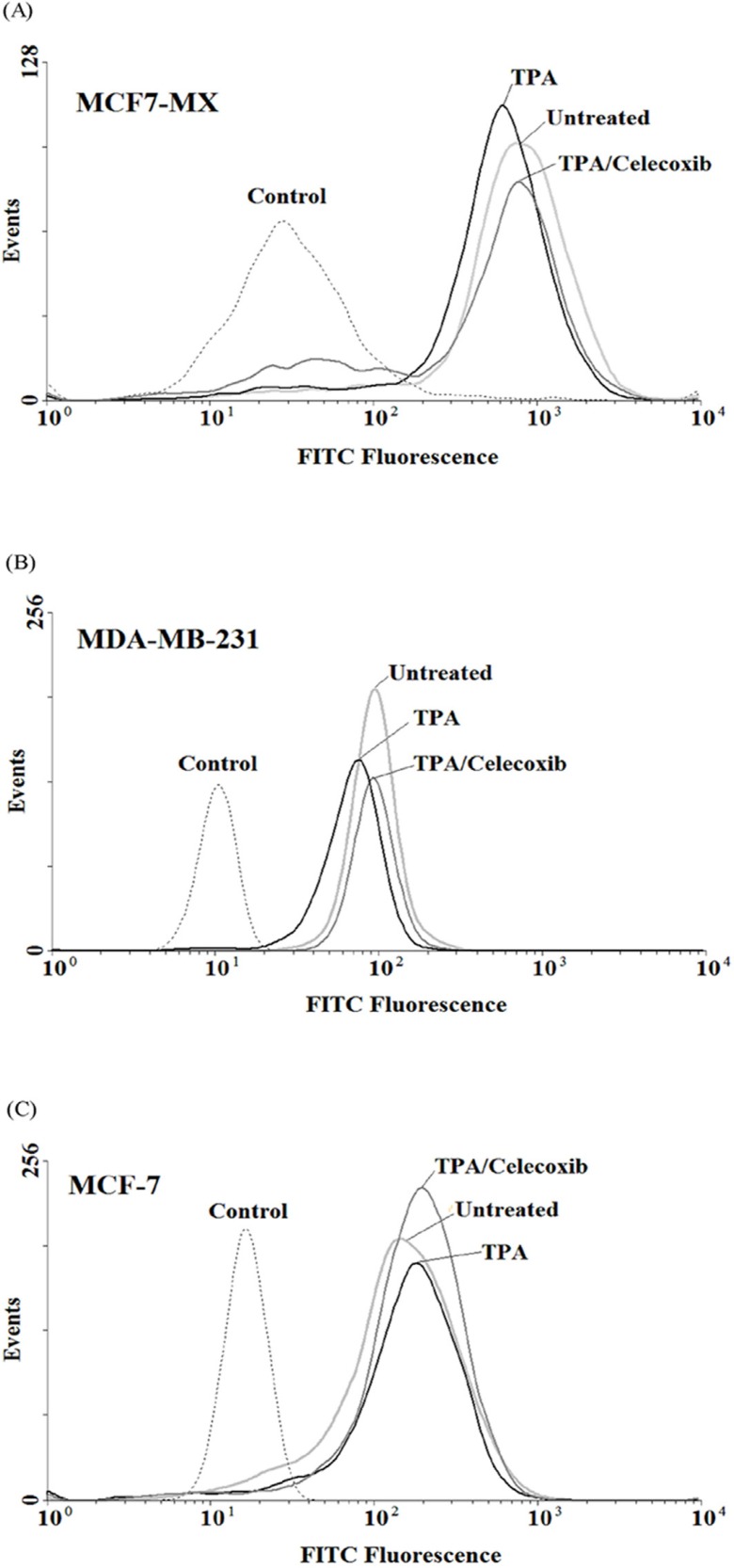 Effects of celecoxib on the expression of ABCG2 at protein levels in MCF7-MX (A), MDA-MB-231 (B), and MCF-7 (C) cell lines were studied by flow cytometry. Cells were fixed and permeabilized by formaldehyde and methanol, blocked with BSA and then incubated with primary monoclonal antibody BXP-21. After washing, Cells were incubated with a FITC-conjugated goat anti-mouse antibody. Fluorescence of 10,000 cells was quantified from histogram plots using the mean fluorescence intensity (MFI). Each histogram shows the overlay of the TPA treated sample (black), TPA and celecoxib treated sample (dark gray), untreated sample (ligh gray) and secondary antibody as negative control (broken light gray).