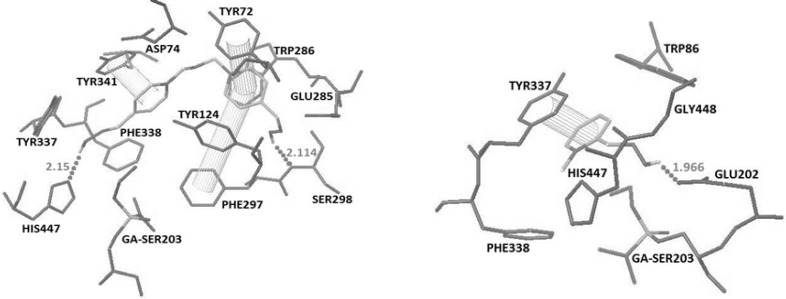 Docked structures of 4A (top) and 4B (Bottom) with Crystal structure of tabun-inhibited AChE (PDB code 2JF0). Hydrogen bonds and pi-pi interactions have been represented