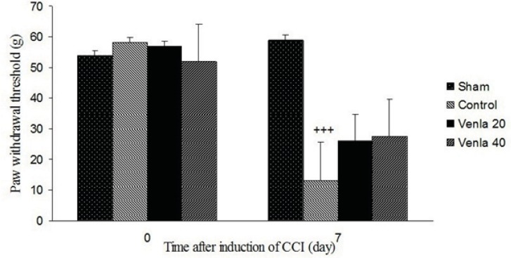 The effects of acute venlafaxine (20 and 40 mg/Kg i.p.) administration on the mechanical allodynia. Sham group (n = 6): rats who were subjected to sham treatments (Saline solution 5 mL/Kg) for chronic constrictive nerve injury (CCI), Control group (n = 6): chronic constrictive nerve injury of the right sciatic nerve was performed, Venla 20: CCI animals who were treated with venlafaxine (20 mg/Kg i.p.), Venla 40: CCI animals who were treated with venlafaxine (40 mg/Kg i.p.).