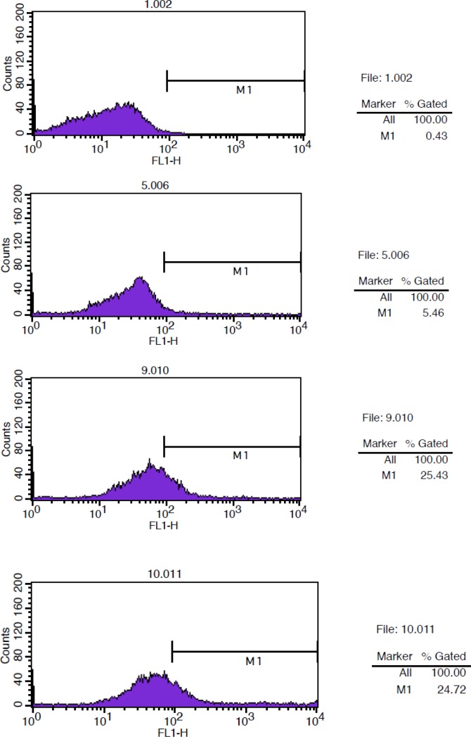 Flow Cytometry studies for determination immunoreactivity of DOTA-conjugated antibody. From up to down. Background: Cells + rituximab. Negative control: Cells + Herceptin + anti-human IgG (FC specific)-FITC.