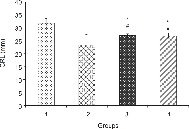 Crown rump length (mean ± SEM) of fetuses in different groups: 1: Normal Saline (5 mL/kg), 2: Phenobarbital (120 mg/kg IP), 3: Phenobarbital+levamisole (10 mg/kg IP), 4: Phenobarbital + vitamin E (100 mg/kg IP), n = 5, * Significant difference with normal saline group (p < 0.05), # Significant difference with phenobarbital group (p < 0.05).