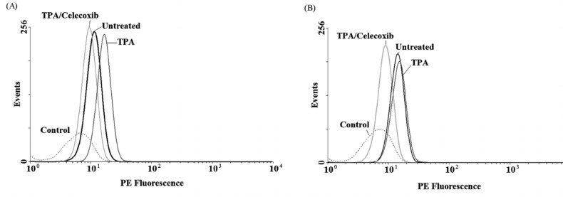 COX-2 protein expression in MDA-MB-231 cell lines under treatment with TPA, and celecoxib for 4 h (A) and 24 h (B). Cells were treated with or without TPA 10 nM, and celecoxib 40 µM and COX-2 protein expression were measured by flow cytometric assay, which developed for detection of COX-2. Briefly, after fixation and permeabilization, cells were blocked with BSA 10% (w/v) and incubated with PE- conjugated anti-COX-2 mAbs. COX-2 protein level expressed as mean fluorescence intensity (MFI) of PE-fluorescence of 10,000 cells that was quantified in histogram plots. Each histogram shows the overlay of the TPA treated sample (dark gray), TPA and celecoxib treated sample (ligh gray), untreated sample (black) and unstained control sample, which has been used to detect autofluorescence (broken light gray).