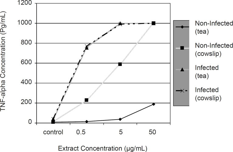 Comparison of the effect of Iranian black tea and cowslip extracts (with different concentrations) on TNF-alpha production by non-infected and infected macrophages during 24 h incubation period