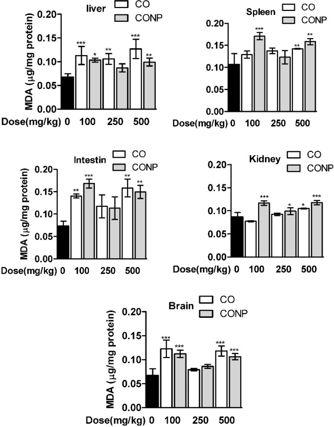 Effects of different doses of CO and CONPs rat organ MDA. Animals were exposed to PBS, 100, 250 and 500 mg/kg CO and CONPs for three consecutive days and at the end of the treatments, animals were anaesthetized and brain, intestine, kidney, spleen and livers were quickly removed and homogenized for MDA measurement. MDA were measured according to the materials and methods. Data are expressed as means ± SD. ***(P < 0.001) significantly different when compared with control alone