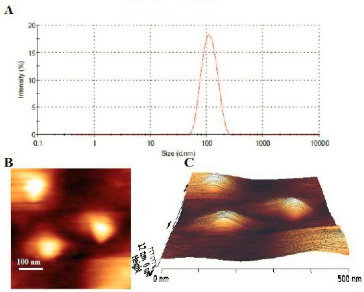 A) Particle size distribution profile of fluoxetine loaded PEGylated DSPC liposomes. B) Two-dimensional AFM image of fluoxetine loaded PEGylated DSPC liposomes. Bar, 100 nm. C) Three-dimensional AFM image of fluoxetine loaded PEGylated DSPC liposomes