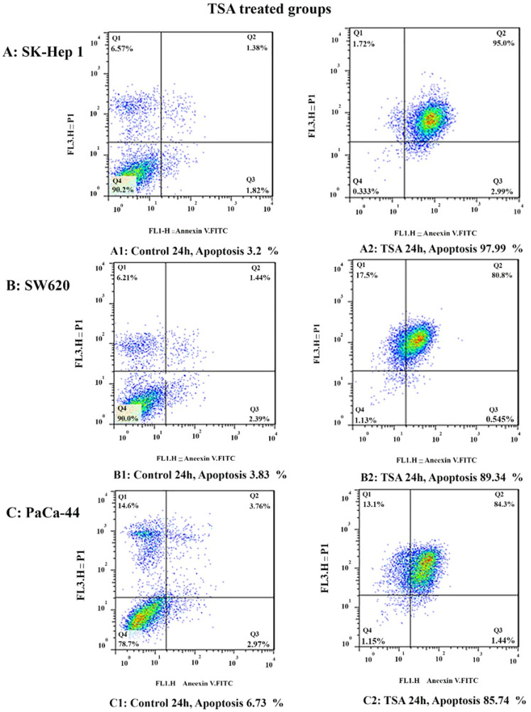 The apoptosis-inducing effect of TSA was investigated by flow cytometric analysis of (A) SK-Hep 1, (B) SW620, and (C) PaCa-44 cells stained with Annexin V and propidium iodide. The result indicated that TSA induced cell apoptosis after 24 h of treatment significantly