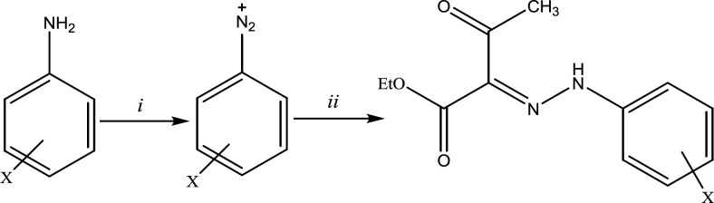 Synthetic route for the desired derivatives; reagents and conditions: (i) HCl 37%, ethanol, H2O, NaNO2, 0 °C. (ii) NaCH3CO2, ethyl acetoacetate, 0 °C