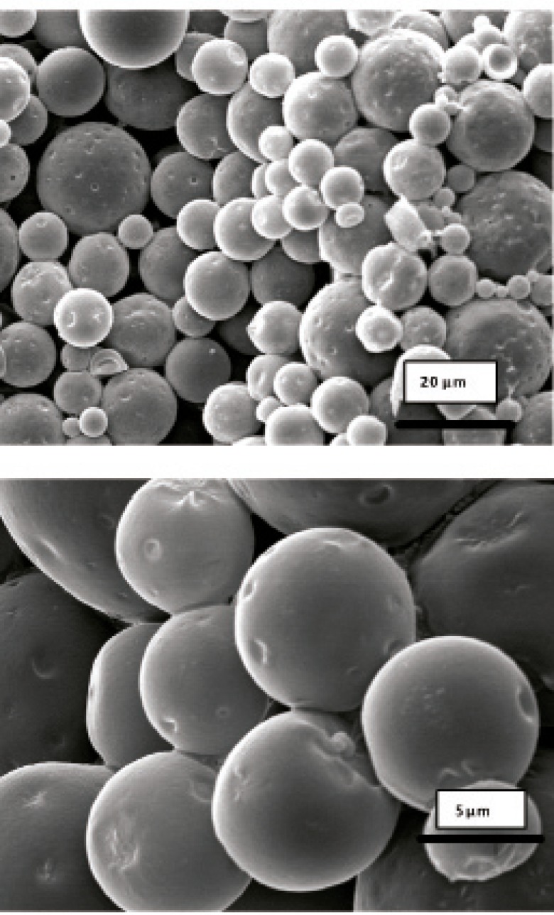 Scanning electron micrographs of G microspheres after incubation at 37°C in SGF-a for 6 h.