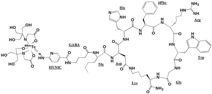 A proposed structure of [HYNIC-GABA-Nle-CycMSHhept] after 99mTc labeling in a tricine co-ligand system.