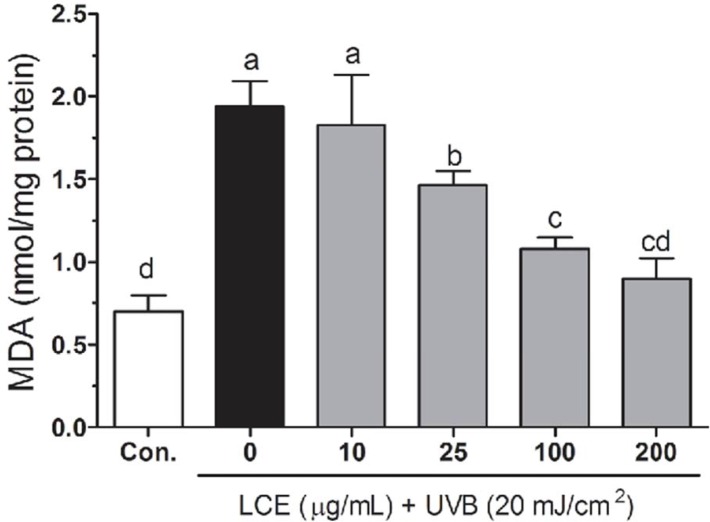 Effects of Lindera coreana leaf ethanol extracts (LCE) on intracellular malonaldehyde (MDA) levels in UVB (20 mJ/cm2) irradiated HaCaT keratinocytes. Data are representative of three independent experiments as mean ± SD. a~d Mean values with different letters on the bars are significantly different (p < 0.05) according to Duncan’s multiple range test.