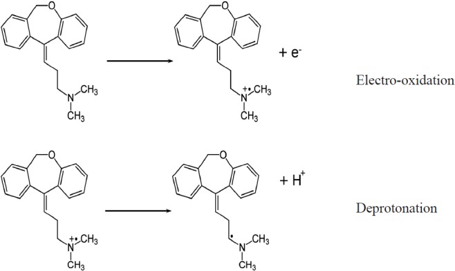 A proposed reaction mechanism for the electrooxidation of DOX.