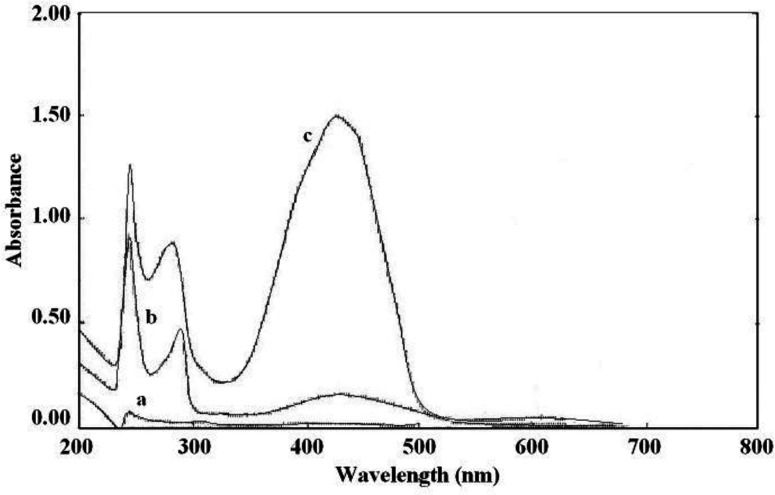 Absorption spectra of: (a) sunitinib malate, (b) BPB, and (c) the ion-pair complex of sunitinib and BPB
