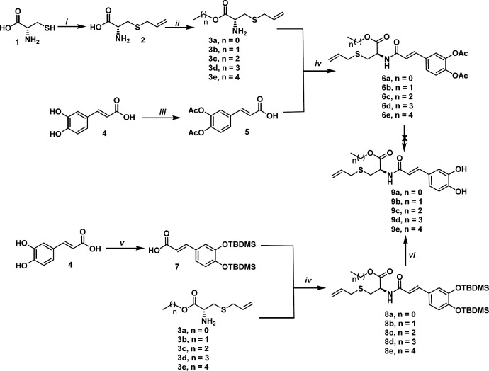 Synthesis of S-allyl cysteine ester-caffeic acid amide hybrids