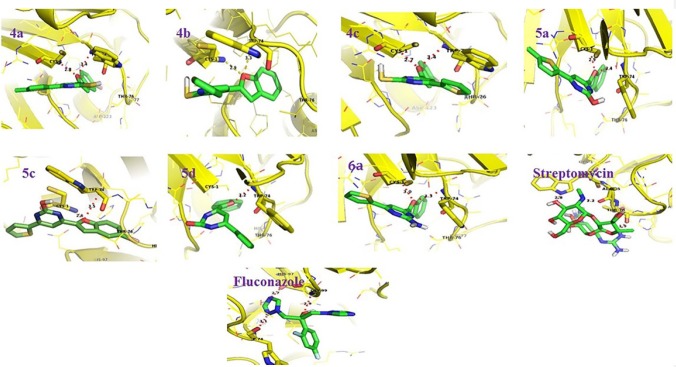 G6P-Ligand interactions as visualized using pymol (Version 1.3). The protein molecule is represented as ribbons (yellow color). The interacting residues (yellow color) and the ligands (green color) are represented as sticks (green color). The hydrogen bonds are represented as dotted lines (red color