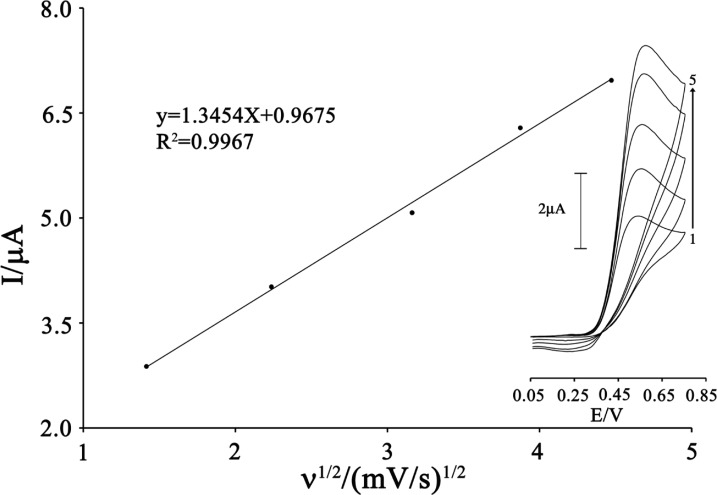Plot of Ipa versus ν1/2 for the oxidation of 80 µmol L-1 CAP in the presence 200 µmol L-1 ISPT at the surface of MWCNTPE. Inset) Cyclic voltammograms of 80 µmol L-1 CAP in the presence 200 µmol L-1 ISPT at various scan rates as (a) 2, (b) 5, (c) 10; (d) 15 and e) 20 mV s−1 in 0.1 mol L-1 buffer solution (pH 4.0