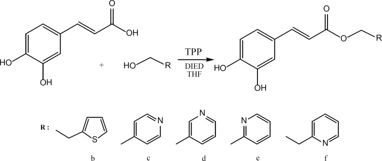 Synthesis of caffeic acid esters (2-6) using Mitsunobu reaction