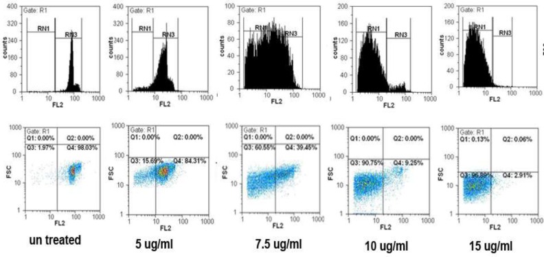 SVT induced cell cycle arrest and apoptosis in HepG2 cells. The cells were treated with 0,5, 7.5, 10 and 15 µg/mL of SVT for 48 h. They were then harvested and stained with PI. Cell cycle, sub-G1 groups and apoptotic populations were examined by flow cytometry as described in methods section. Upper panels represent profiles of cell cycle, distribution of cells in the cell cycle and proportion of the sub-G1 cells. Lower panels show the proportion of apoptotic and normal cells