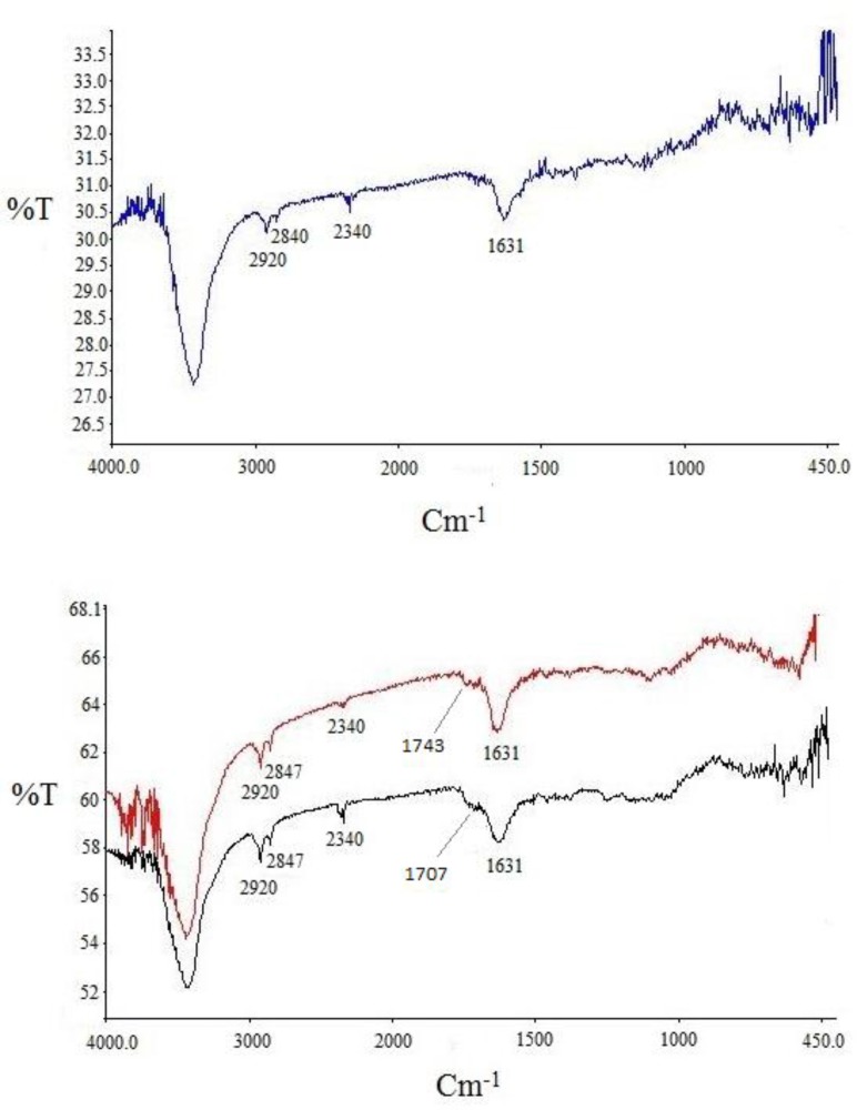 FT-IR spectra for purchased SWCNT (a, blue curve), acid-treated SWCNT (b, black curve) and SWCNT-cyclopropan-1,1- dicarboxylate ethyl ester (b, red curve