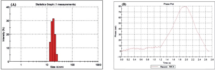 DLS Results for S1 MCS nanogel: (A) Statistics Graph. (B) Phase plot curve
