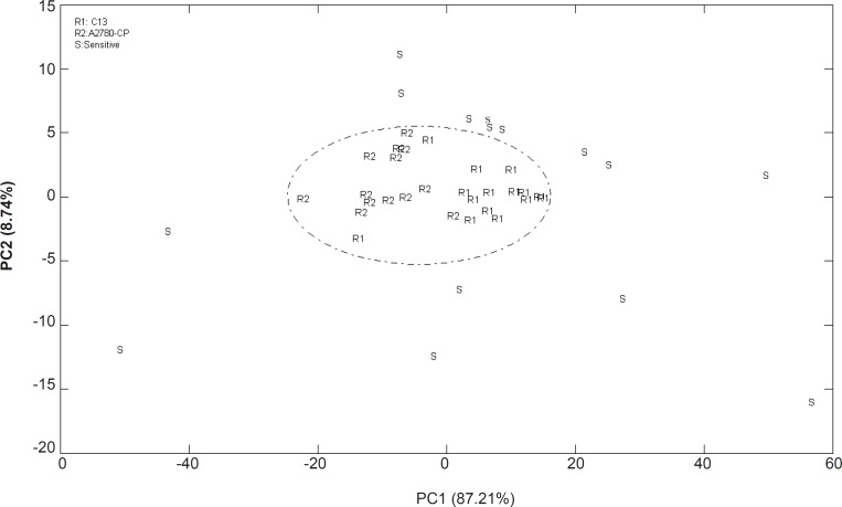 Score plot of PCA analysis for the FTIR spectral data of A2780, A2780CP and C13 cells in the region of 900 to 1500 cm-1(R: resistant and S: sensitive