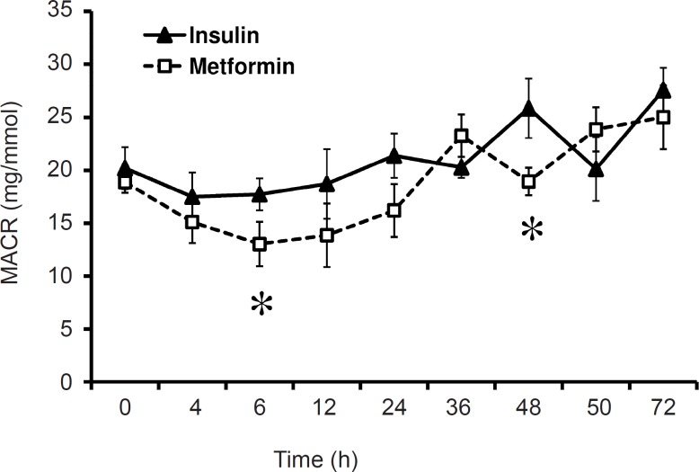 Mean values of microalbumine to creatinine ration (MACR) in the two groups