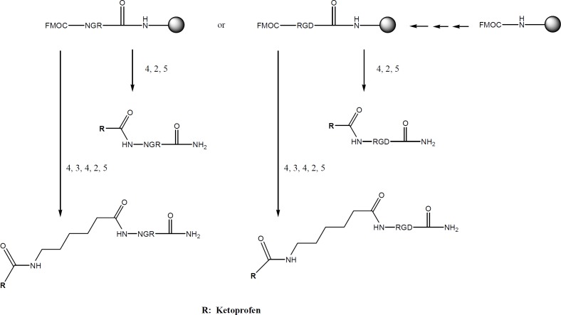 Solid-phase peptide synthesis of RGD or NGR Drug conjugated, (1) solid phase peptide synthesis, (2) ketoprofen, HATU, DIEA, DMF, (3) fmoc-amino hexanoic acid, HATU, DIEA, DMF, (4) fmoc deprotection by Piperidine 20%, (5) cleavage by TFA, Thioanisol, p-cresol, TIS