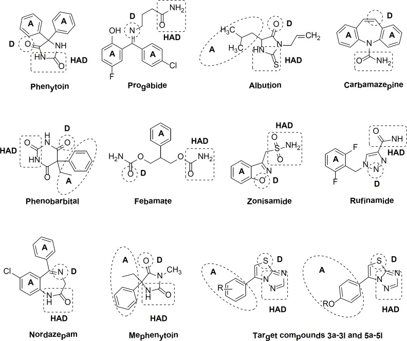 Pharmacophoric characteristics of well known antiepileptics and target compounds with the vital structural features: (A) hydrophobic unit, (D) electron donor group, hydrogen bond acceptor/donor unit (HAD).