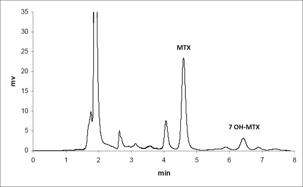 Chromatogram of MTX in plasma 30 min after iv injection to mice (n = 3)