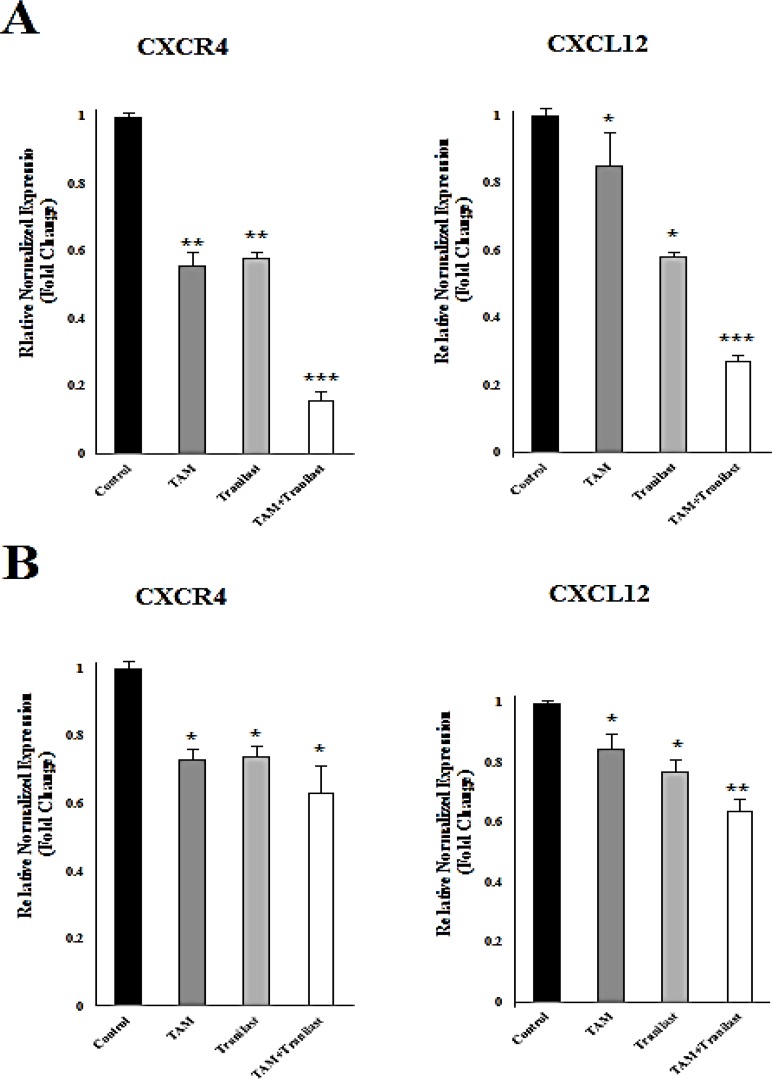 CXCL12 and CXCR4 mRNA were assessed by quantitative real-time RT-PCR after 48h treatment of MCF-7 (A) or MDA-MB-231 (B). Quantitative RT-PCR analysis of CXCR4 and CXCL12 in MCF-7 and MDA-MB-231 cells showed that TAM and TRAN as a single or in combination effectively decreased the expression of CXCR4 and CXCL12 mRNA. The real-time PCR results were normalized against the internal control GAPDH and are expressed as a percentage of control cells. The data of t-test are shown as mean± S.E.M (*p < 0.05; **p <0.01; ***p<0.001).