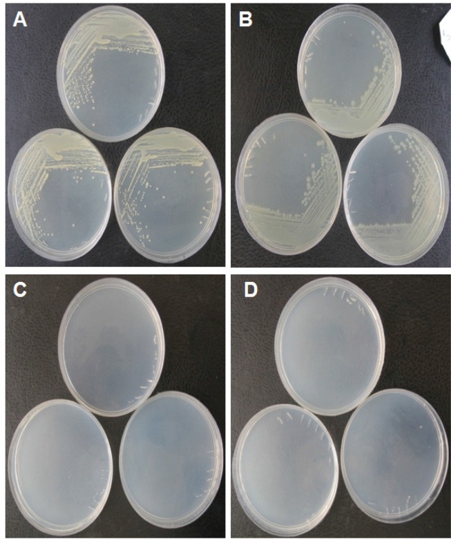 Growing bacteria on solid media prepared by the produced yeast extractas the sole source of energy for bacteria. (A) Colonies of Staphylococcusaureus as gram positive bacteria on the solid media prepared by the produced yeast extract. (B) Colonies of E.coli DH5α as gram negative bacteria on the solid media prepared by the produced yeast extract. (C and D) Yeast extract free solid media as control for culturing of Staphylococcusaureus and E.coli DH5α, respectively. As seen in the control plates, there are no colonies in the media. The experiments were conducted in triplicates.