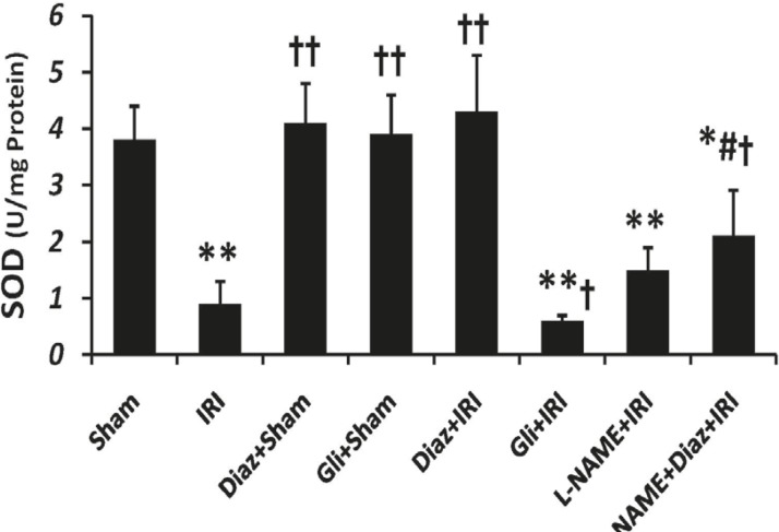 Effect of treatment with diazoxide and L-NAME on activity of antioxidant enzyme SOD in tissue samples prepared from hind limb muscle. Data are expressed as Mean ± SEM in all groups. Ischemia reperfusion injury (IRI), Diaz: Diazoxide (40 mg/ Kg), Gli: Glibenclamide (5 mg/Kg), L-NAME (20 mg/Kg). * p < 0.05 and ** p < 0.01 vs. Sham, †p < 0.05 and ††p < 0.01 vs. IRI, and # p < 0.05 vs. Diaz+IRI group