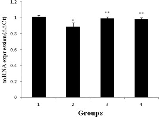 Effects of pravastatin on mRNA expression of nephrin in different groups (six rats for each group). 1 (control); 2 (ADR); 3 (pravastatin+ ADR) and 4 (ADR+ pravastatin). *p < 0.05, vs. control. **p < 0.001, vs. ADR group