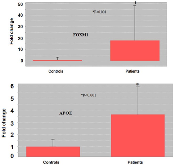 Comparison of FOXM1 and APOE genes expression between control and SM-exposed groups by fold-change. The expression of FOXM1 and APOE genes in the bronchial of patients was significantly (p < 0.001) higher than in controls. *p < 0.05 is considered as significant difference