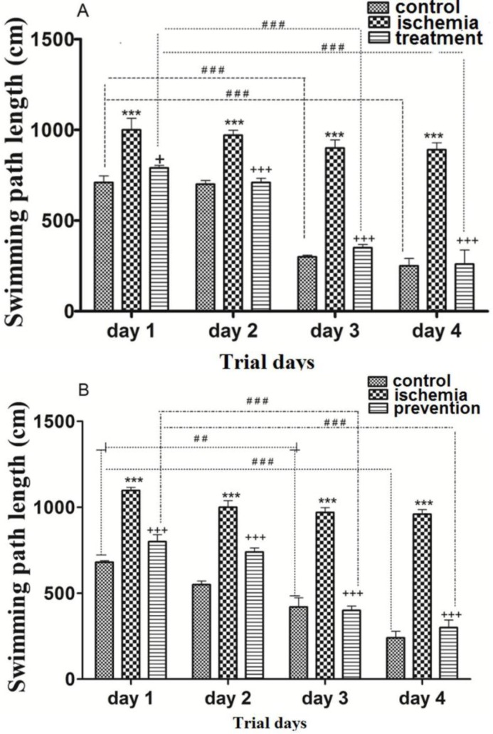 The effects of post-ischemic (A) or pre-ischemic (B) administration of paroxetine (10 mg/kg, i.p) on the swimming path length during trial days in rats. The swimming path length was significantly increased during trial days in the ischemia group compared with the control group (A, B). The swimming path length was significantly decreased during trial days in the treatment (A) and the prevention (B) groups compared with the ischemia group. Data are expressed as mean ± SEM (n = 10). (Compared to control group, *** p < 0.001; compared to ischemia group, + p < 0.01, +++ p < 0.001; compared to day 1, ## p < 0.01, ###p < 0.001
