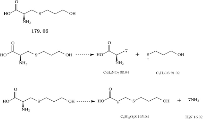Chemical structures of fudosteine and the probable mass spectral fragmentation pathways of fudosteine