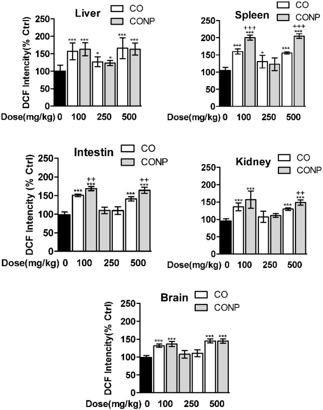 Effects of different doses of CO and CONPs rat organ ROS formation. Animals were exposed to PBS, 100, 250 and 500 mg/kg CO and CONPs for three consecutive days and at the end of the treatments, animals were anaesthetized and brain, intestine, kidney, spleen and livers were quickly removed and homogenized for ROS measurement. ROS formation were measured according to the materials and methods. Data are expressed as means ± SD. ***(P < 0.001) significantly different when compared with control alone