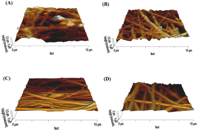 AFM 3D images of (A) PAN, (B) Clay-PAN 15%, (C) Clay-PAN 20%, (D) Clay-PAN 25% nanofiber electrospun scaffolds