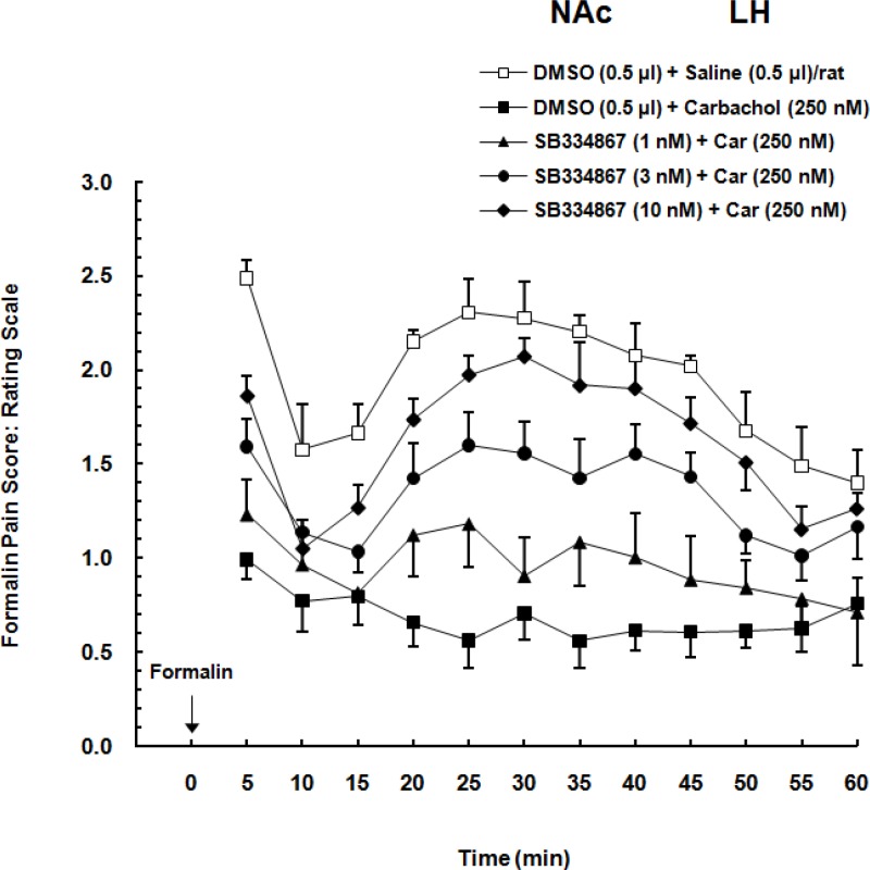 Effect of intra-accumbal (NAc) administration of different doses of SB334867 (1, 3 and 10 nM/0.5 µL DMSO), a selective OX1r antagonist, on antinociceptioninduced by chemical stimulation of the lateral hypothalamus (LH) in the formalin test. The average of pain scores (pain behaviors) in 60-min period after formalin injection is shown in this Figure. Carbachol-control group received 0.5