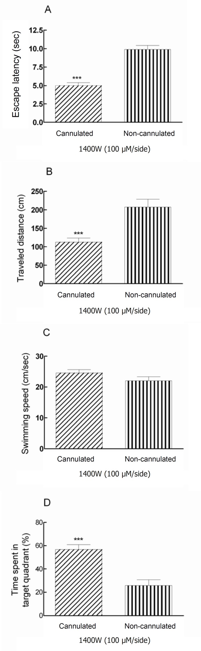 Post-training bilateral intra-hippocampal infusions of 1400W (100 μM/side) decreased the escape latency and traveled distance significantly (*** P < 0.001) in cannulated animals comparing to non-cannulated (anesthetized) group (Figures 2A and 2B). There is a significant difference (*** P < 0.001) between cannulated and non-cannulated rats in time spent in target quadrant (Figure 2D).