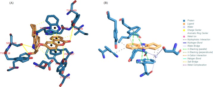 (A) Interactions of compound 1 with the residues in the binding site of AChE receptor (1ACJ). (B) Tacrine interactions with 1ACJ
