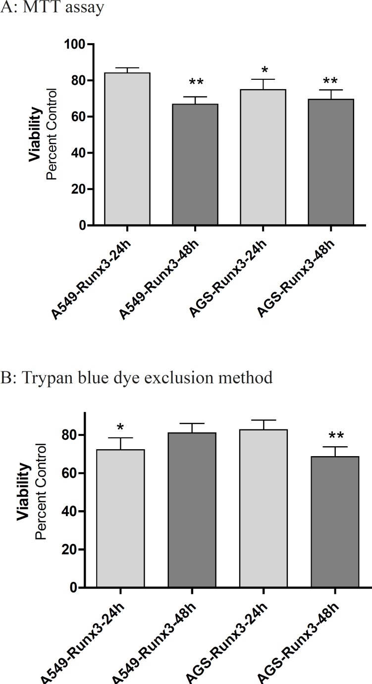 The effect of Runx3 transfection on A549 and AGS cells viability Cells were transfected with Runx3 or empty vector (Control). After 24 and 48 h, the cell viability and proliferation were evaluated by (A) MTT assay (B) and trypan blue. The results are presented as mean ± SE of three independent experiments (n = 3, *p < 0.05, ** p < 0.01