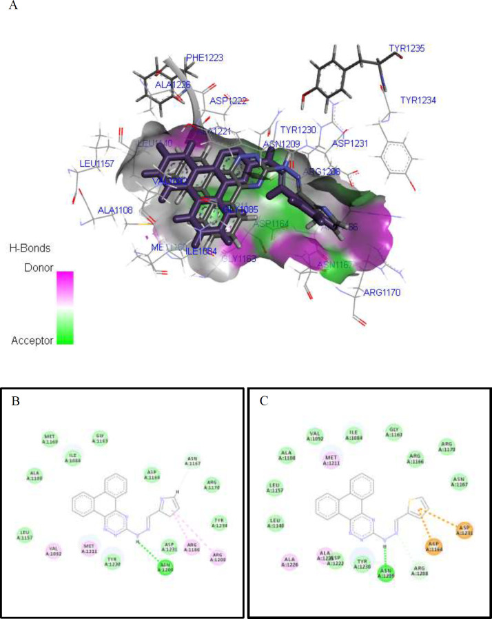 Molecular docking study of the interactions of synthesized derivatives with c-Met receptor active site. Interactions and binding modes of compounds 9k and 9l with the c-Met receptor active site (PDB code: 3ZZE) were studied by molecular docking. 3D Stereo view of the overlaid model (A), 2D docking models and possible interactions of 9k (B) 9l (C) are shown