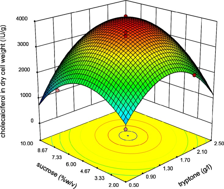 Response surface plot indicating the effect of sucrose and Tryptone interaction on cholecalciferol amount per dry cell weight of S. cerevisia