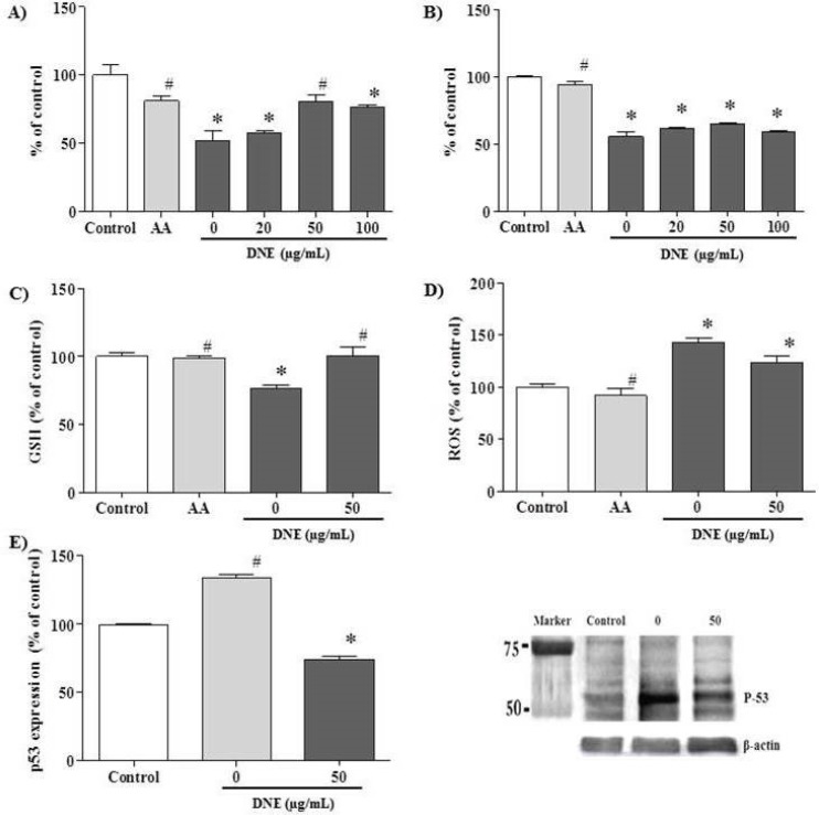 Effect of Dendrobium nobile Lindl extract (DNE) on cisplatin-treated PK15 cells. The cells were treated with ascorbic acid (AA, 1.7 mg/mL) and different concentrations of DNE 2 h before cisplatin (15 μg/mL) treatment, and incubated for 24 h before one of the following assays was performed: A) MTT assay, B) crystal violet assay, C) GSH assay, D) ROS assay, and E) p53 western blot analysis. Values are expressed as mean ± SEM for triplicate experiments. *p < 0.05, a significant difference in comparison with the control cells, #p < 0.05, a significant difference in comparison with cells treated with cisplatin alone