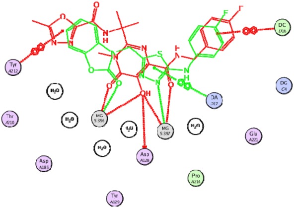 Compound 19 (in green color) superimposed on the co-crystalized ligand (in red color)