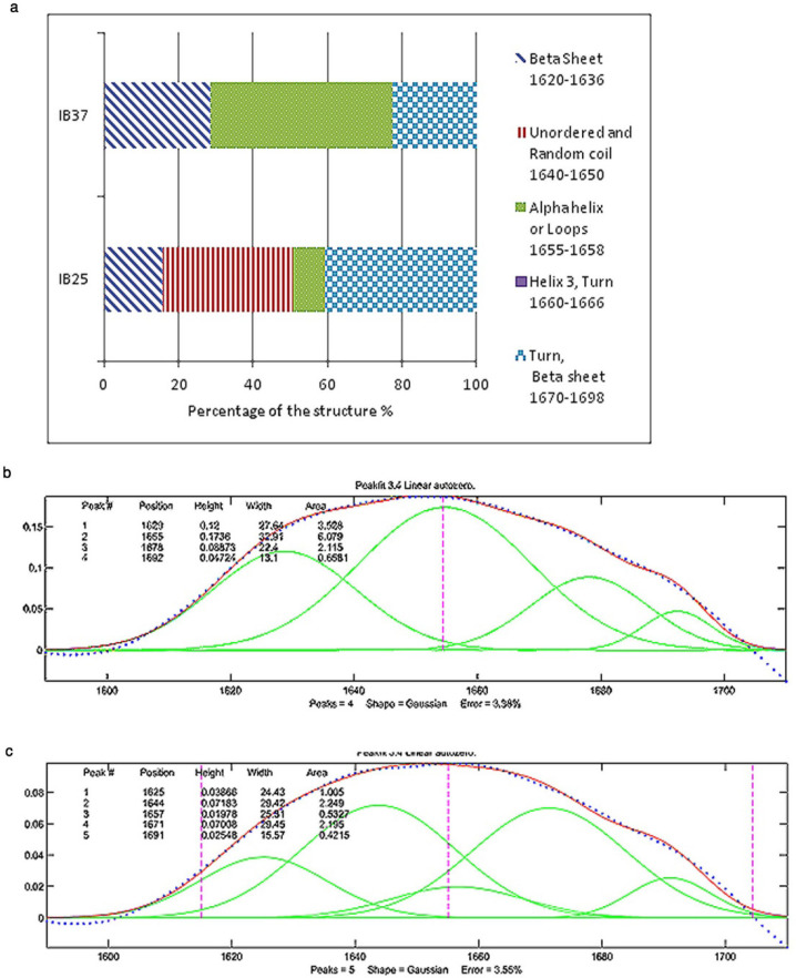 (a) Percentages of different secondary structures in the inclusion bodies of Reteplase expressed at 25 °C and 37 °C based on the curve fitting of FTIR results. IB 37 and IB 25 represent Reteplase IBs expressed at 37 °C and 25 °C. (b) FTIR results for Reteplase IB expressed at 37 °C. (c) FTIR results for Reteplase IB expressed at 25 °C