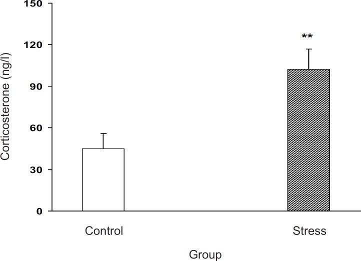 Plasma corticosterone level increment after milled restraint stress in female pregnant mice on E8 Plasma corticosterone level was increased in the experimental group. Data showed as mean ± SEM, **: p < 0.01, which proves different from control group