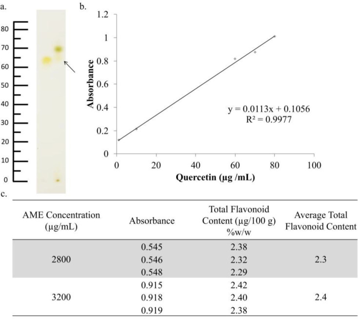 Identification of the chemical content of AME. AME was identified using TLC, while the total flavonoids were determined using spectrophotometry. (a) TLC chromatogram of AME (2) and quercetin (1) showed relatively similar spots between quercetin as standard and AME with an Rf value 0.70. (b) The regression equation obtained from quercetin standard measurement (c) The total flavonoid determination indicated that the total flavonoid content of AME was 2.30% ± 0.05%.